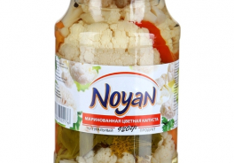 NOYAN