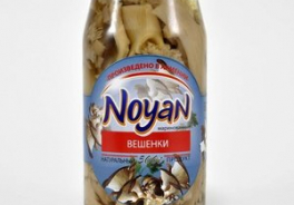 NOYAN