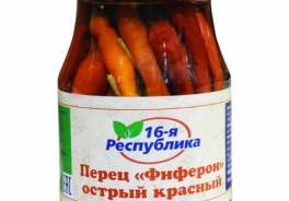16-я Республика