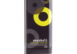 Anoskeli