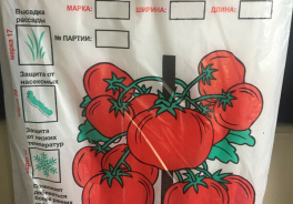 Мегапласт