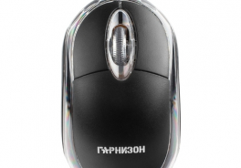 Гарнизон
