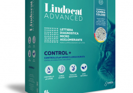 LindoCat