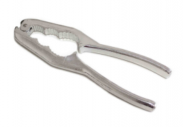 Eppicotispai