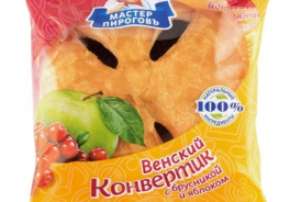 Мастер Пироговъ