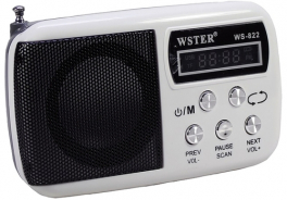 Wster