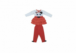 Canini
