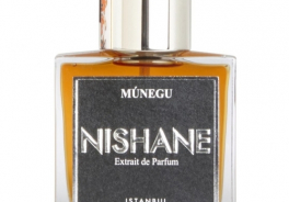 NISHANE
