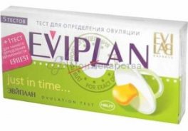 EVIPLAN
