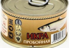 Камчадал