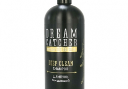 DREAM CATCHER