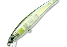 Damiki