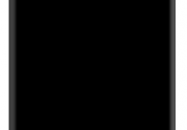 LDH