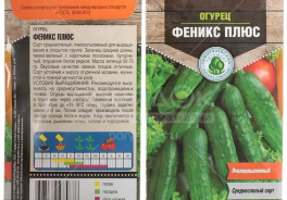 Питомник растений КФ РГАУ-МСХА им. К.А. Тимирязева