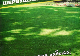 Агроном