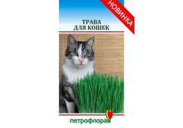 петрофлора