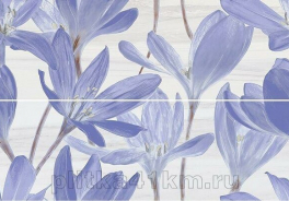 Crocus