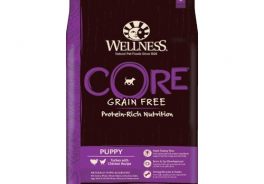 Wellness