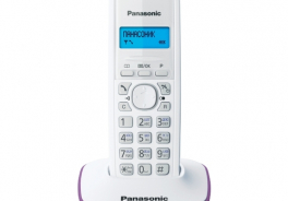 Panasonic