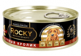 Rocky