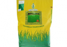 Золотая сотка Алтая