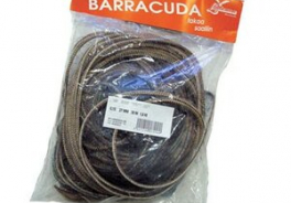 Barracuda