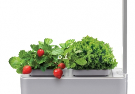 Назад К Истокам