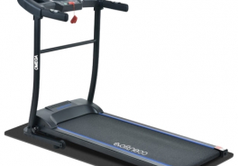 Evo Fitness