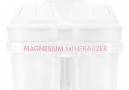 BWT