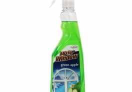 Mister Window
