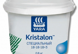 Yara