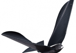 Bionic Bird