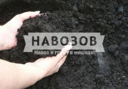 Навозов