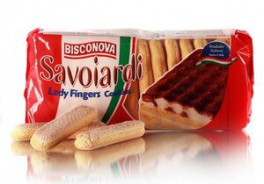 Bisconova