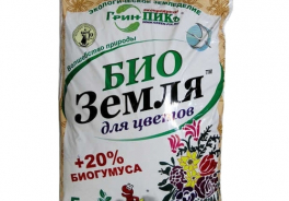 Грин-ПИКъ