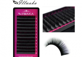 IIWAKA