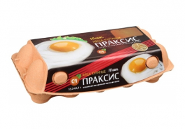 Праксис