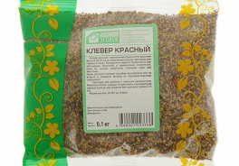 Зелёный Уголок
