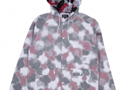 RIPNDIP