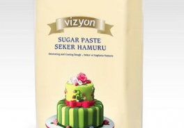 vizyon