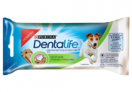Dentalife