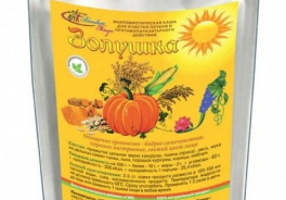 Активная Жизнь