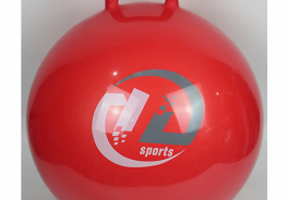 Z-sports