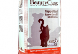 Beauty Case