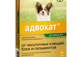 Адвокат (Bayer)