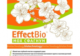 EffectBio