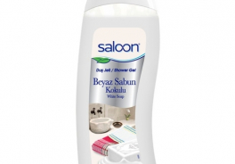 Saloon