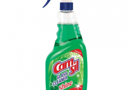 Camsil
