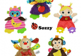 Sozzy
