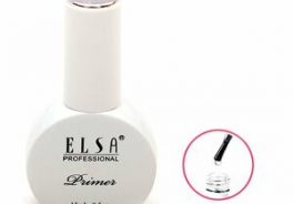 Elsa Professional